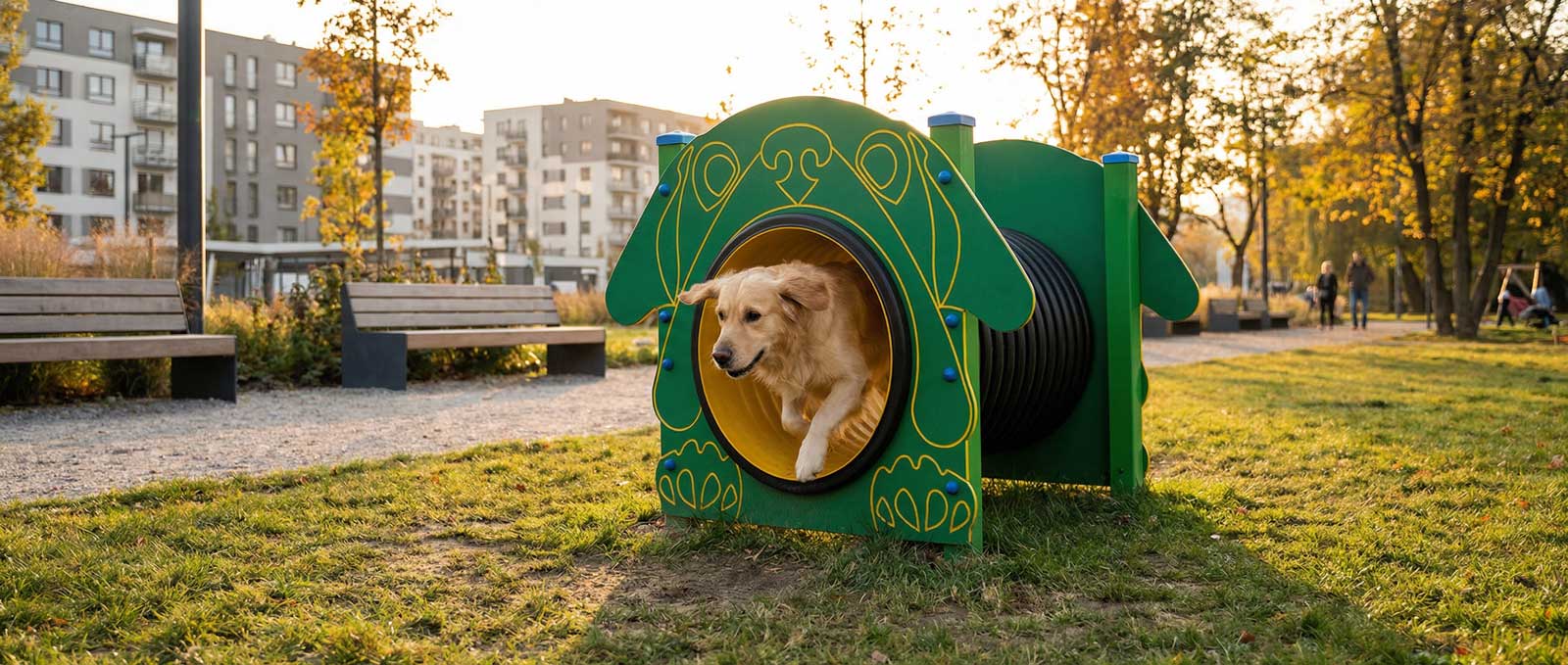 Les tendances 2026 de l'agility en parc chien collectivité