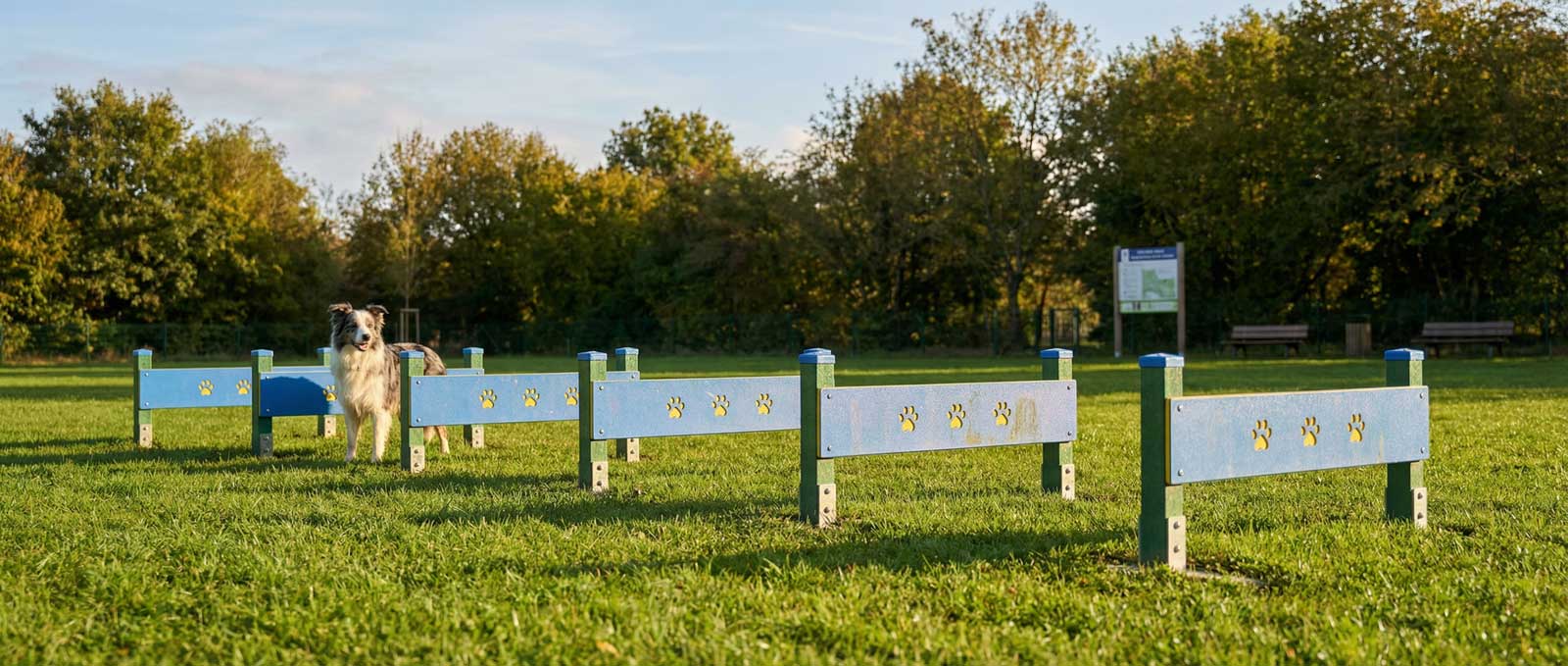Création d'un parc chien collectivité : Ce que dit la loi.