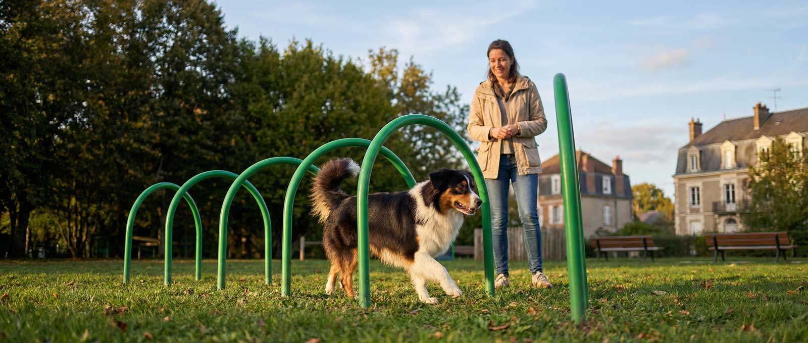 Pourquoi le parc chien collectivité devient un critère d'attractivité.