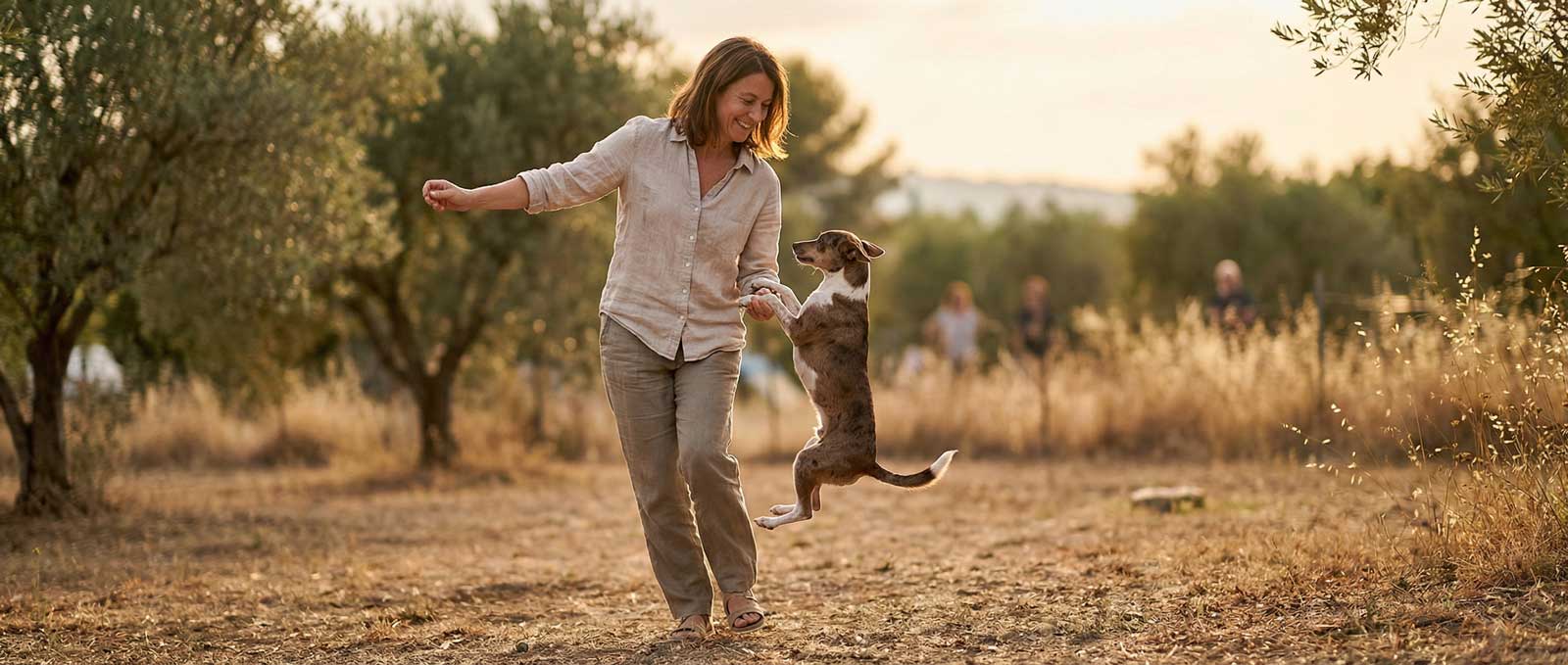 Nouvelles disciplines d'agility à tester dans votre parc pour chien.