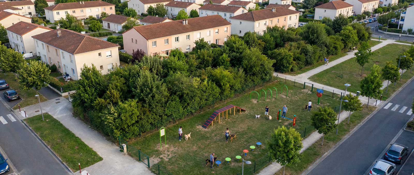 Pourquoi varier les obstacles d'agility en parc chien collectivité.