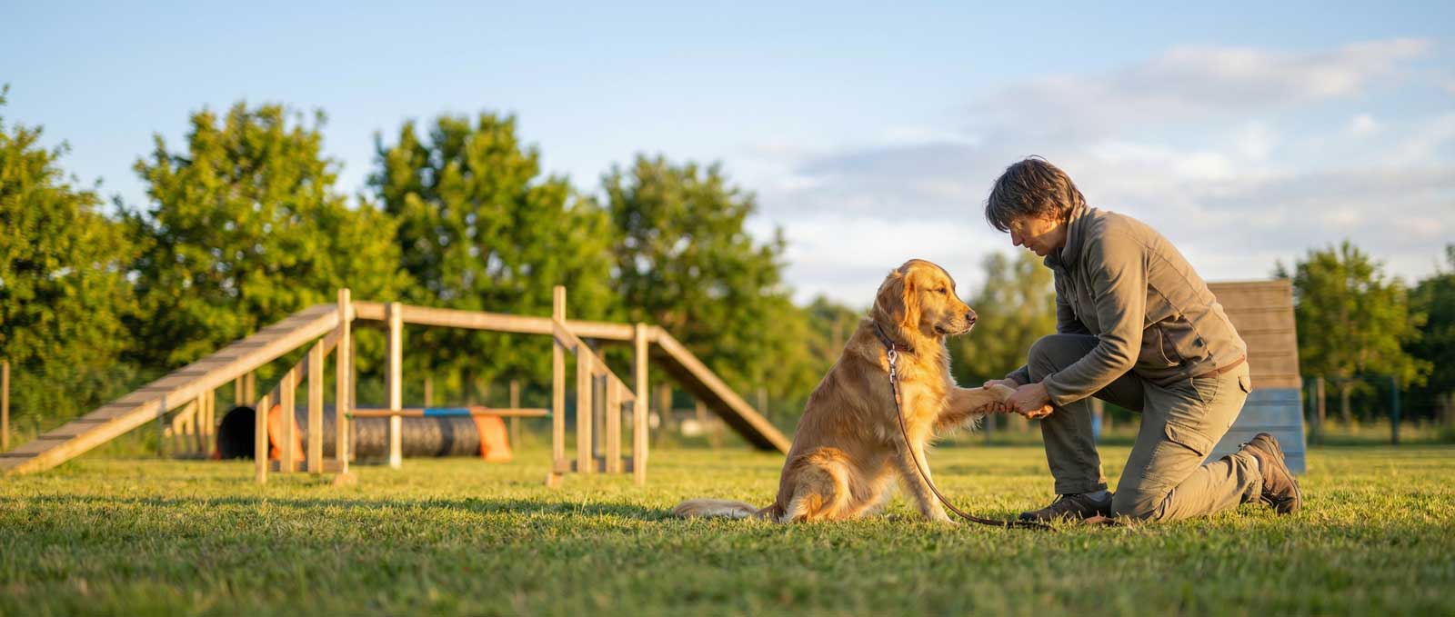 Échauffement canin : Les bons gestes avant l'agility en parc canin.